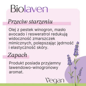 3.webp