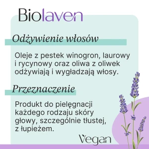 3.webp