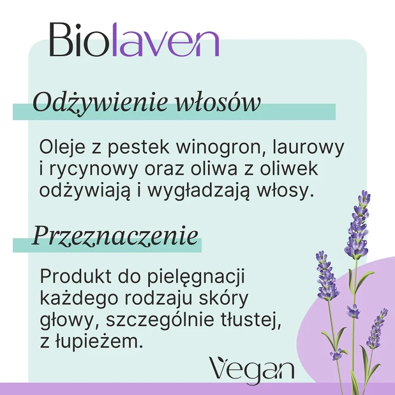 3.webp