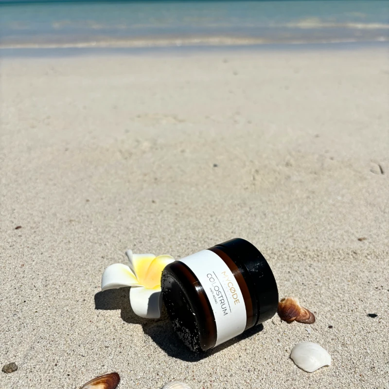 Projekt bez nazwy-91.png