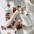 pol_pl_Propolis-balsam-do-ust-1065_3.webp